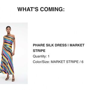 STAUD Phare silk dress Market Stripe 6
